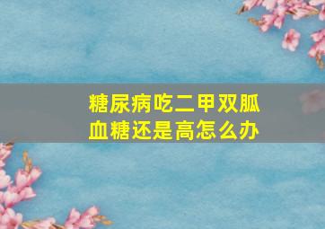 糖尿病吃二甲双胍血糖还是高怎么办