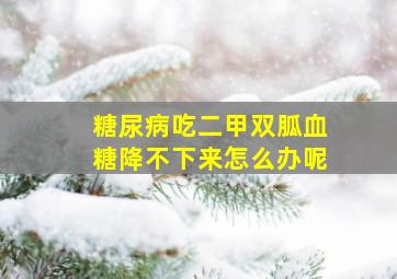 糖尿病吃二甲双胍血糖降不下来怎么办呢