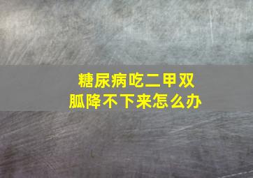 糖尿病吃二甲双胍降不下来怎么办