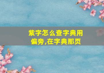 紫字怎么查字典用偏旁,在字典那页