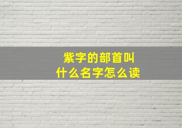 紫字的部首叫什么名字怎么读