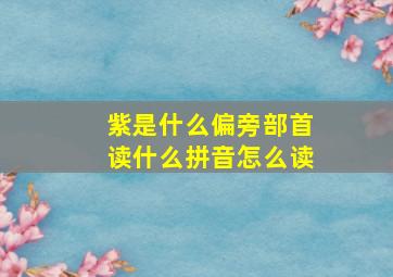 紫是什么偏旁部首读什么拼音怎么读