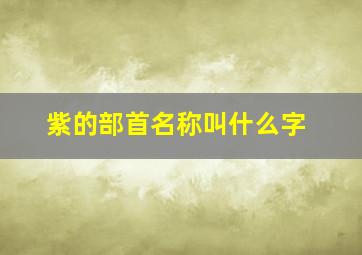 紫的部首名称叫什么字