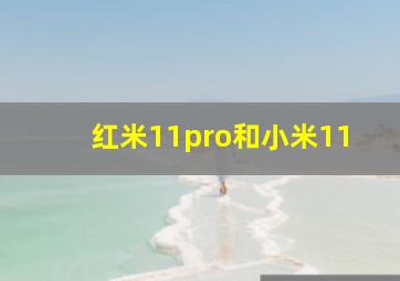 红米11pro和小米11