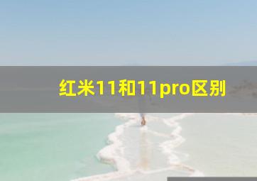 红米11和11pro区别