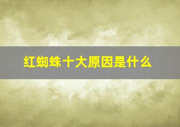 红蜘蛛十大原因是什么