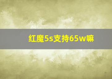 红魔5s支持65w嘛