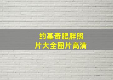 约基奇肥胖照片大全图片高清