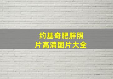 约基奇肥胖照片高清图片大全