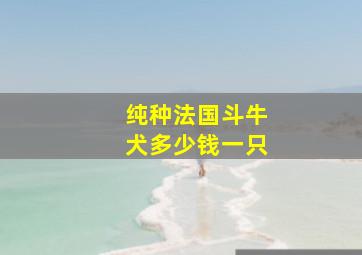 纯种法国斗牛犬多少钱一只