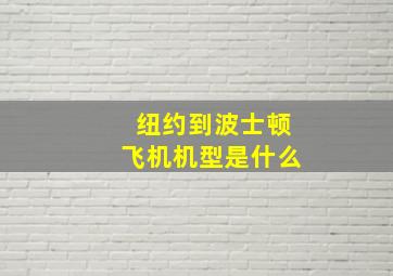 纽约到波士顿飞机机型是什么