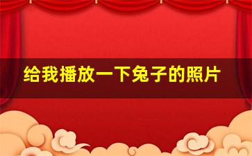 给我播放一下兔子的照片