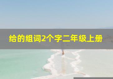 给的组词2个字二年级上册