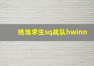 绝地求生sq战队hwinn