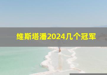 维斯塔潘2024几个冠军