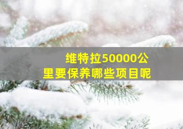 维特拉50000公里要保养哪些项目呢