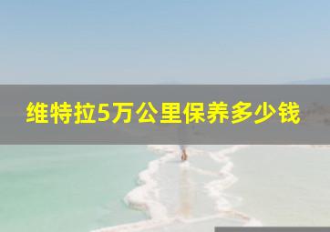 维特拉5万公里保养多少钱