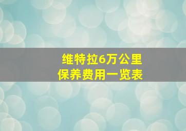 维特拉6万公里保养费用一览表