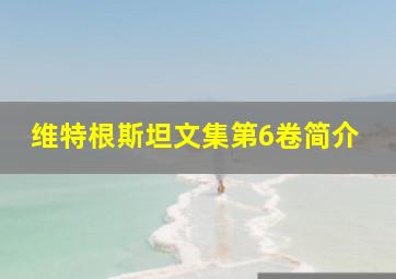 维特根斯坦文集第6卷简介