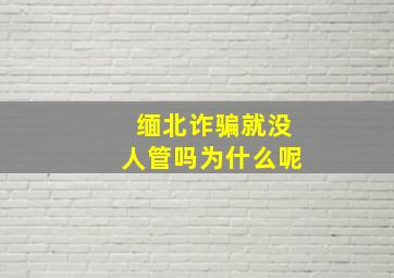 缅北诈骗就没人管吗为什么呢