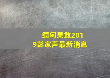 缅甸果敢2019彭家声最新消息