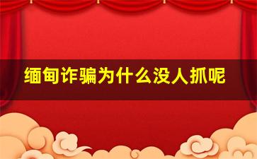 缅甸诈骗为什么没人抓呢