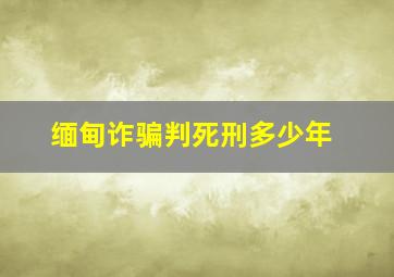 缅甸诈骗判死刑多少年