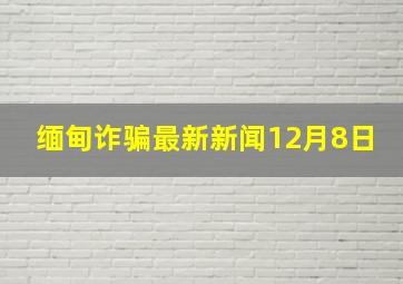 缅甸诈骗最新新闻12月8日