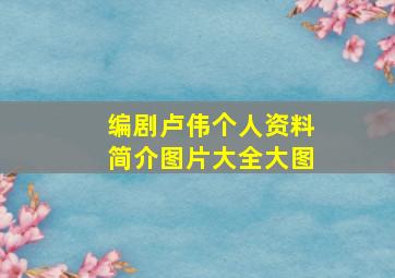 编剧卢伟个人资料简介图片大全大图