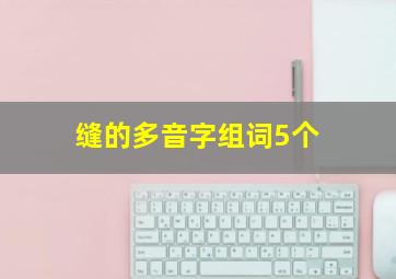 缝的多音字组词5个