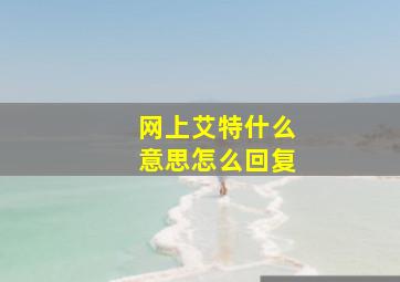 网上艾特什么意思怎么回复