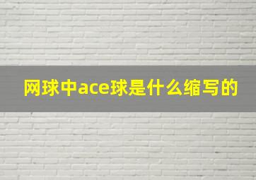 网球中ace球是什么缩写的