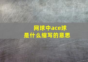 网球中ace球是什么缩写的意思