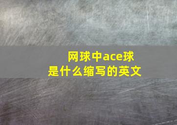 网球中ace球是什么缩写的英文