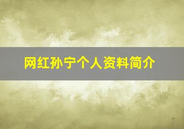 网红孙宁个人资料简介