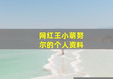 网红王小萌努尔的个人资料