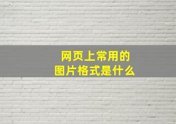 网页上常用的图片格式是什么