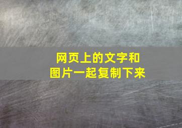 网页上的文字和图片一起复制下来