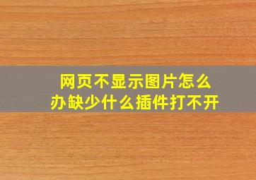 网页不显示图片怎么办缺少什么插件打不开