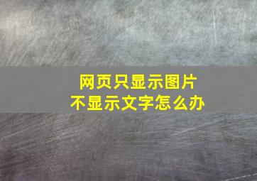 网页只显示图片不显示文字怎么办