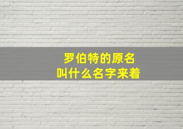 罗伯特的原名叫什么名字来着