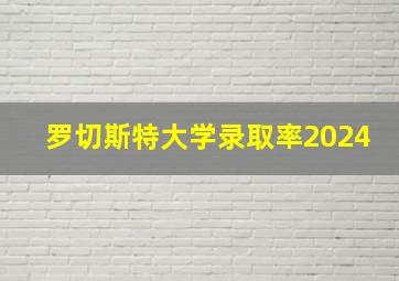 罗切斯特大学录取率2024