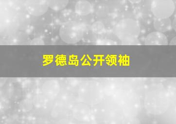 罗德岛公开领袖