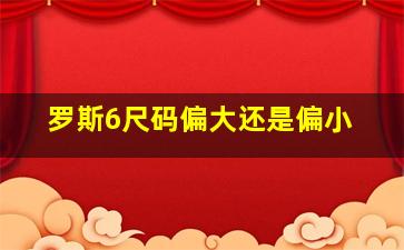 罗斯6尺码偏大还是偏小