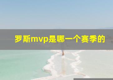 罗斯mvp是哪一个赛季的