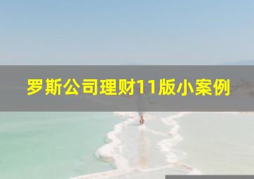 罗斯公司理财11版小案例