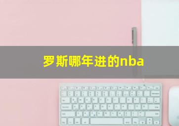 罗斯哪年进的nba