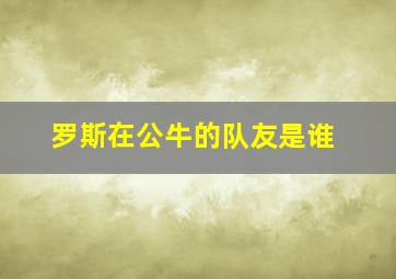 罗斯在公牛的队友是谁