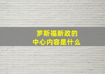 罗斯福新政的中心内容是什么