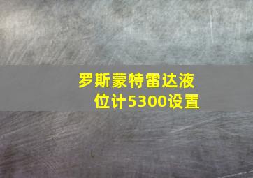 罗斯蒙特雷达液位计5300设置